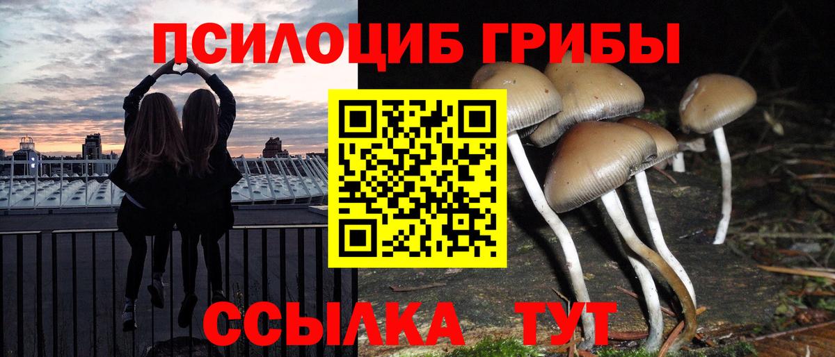 Кингисепп  Галлюциногенные грибы Psilocybe  Галлюциногенные грибы мицелий  дарнет шоп  Вход с VPN 