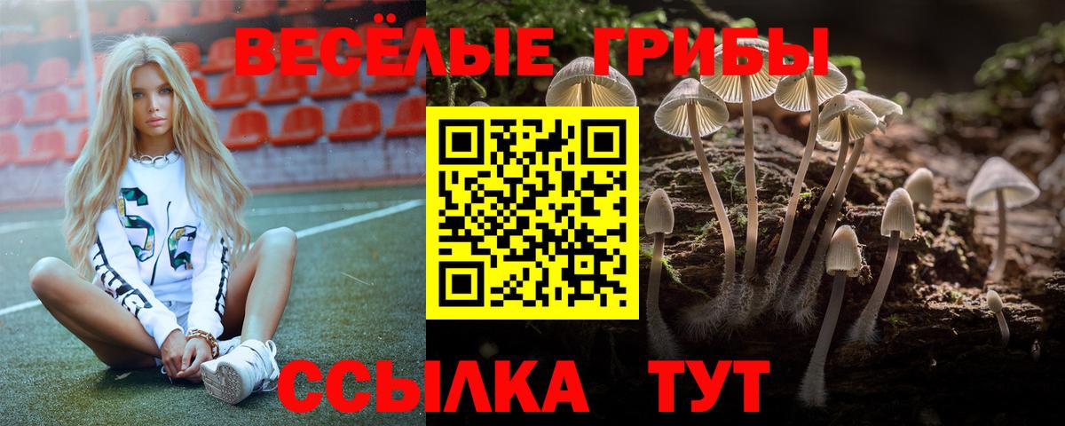 Галлюциногенные грибы мицелий Кингисепп