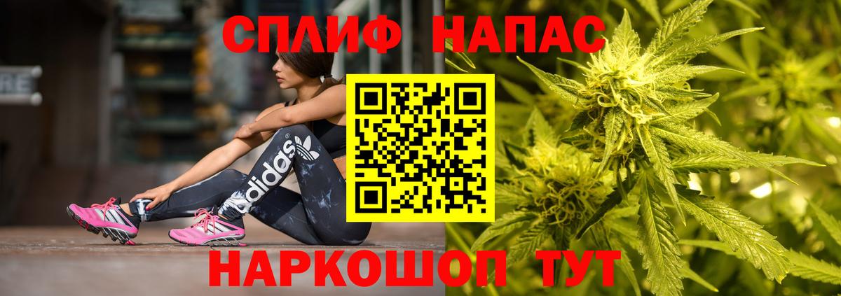 Кингисепп  Каннабис план  Канабис ГИДРОПОН  Вход с VPN  Конопля THC 21% 